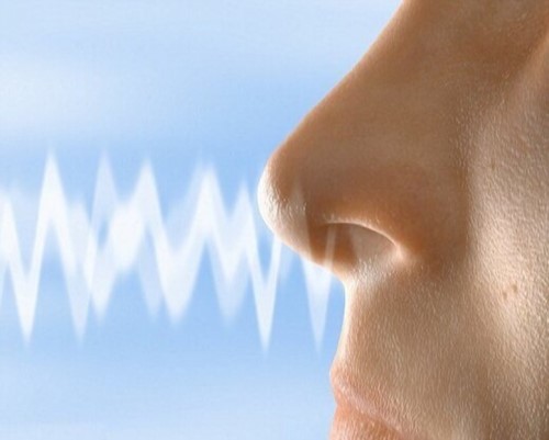 چرا مبتلایان به کووید ۱۹ بویایی خود را از دست می‌دهند؟